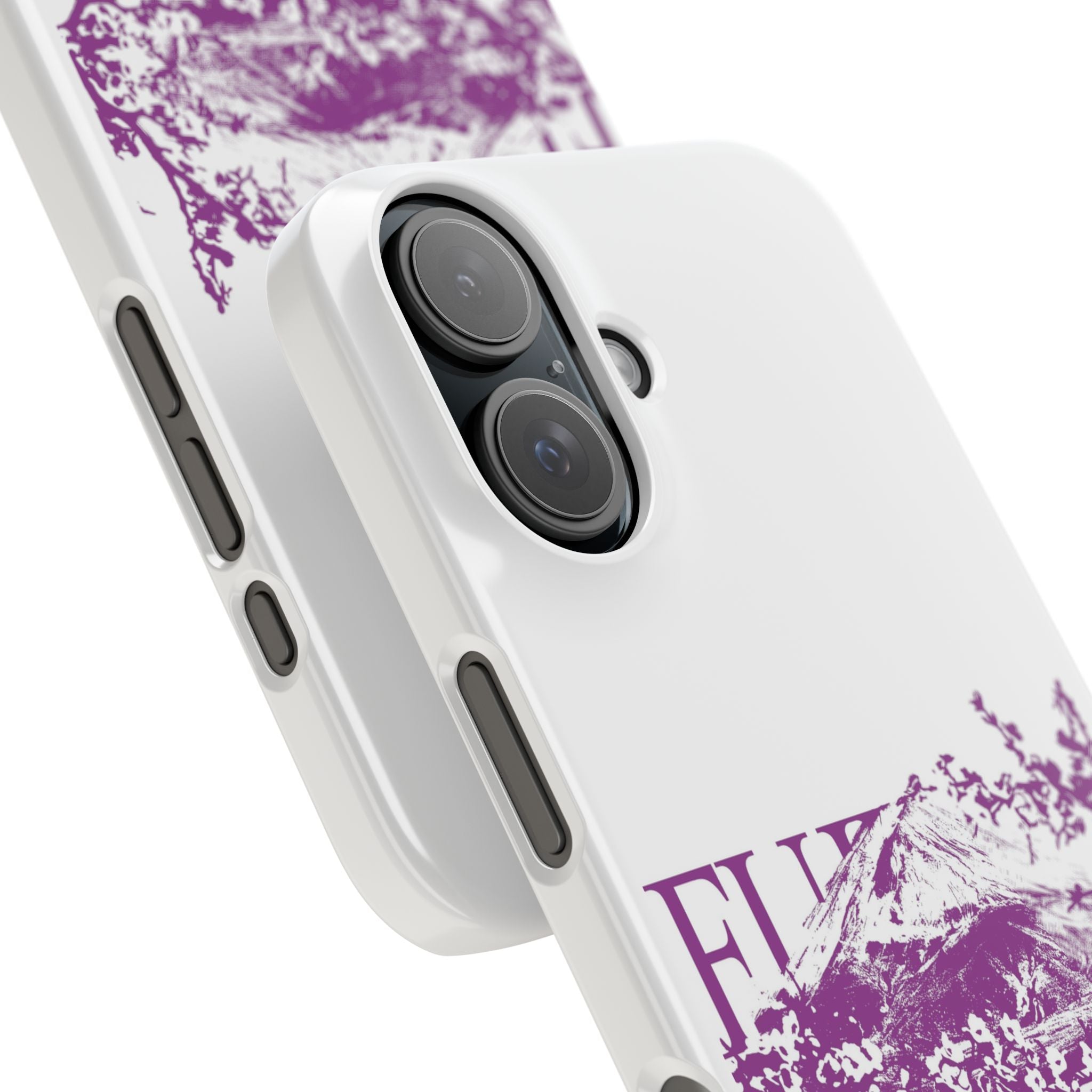 Light Mount Fuji Case